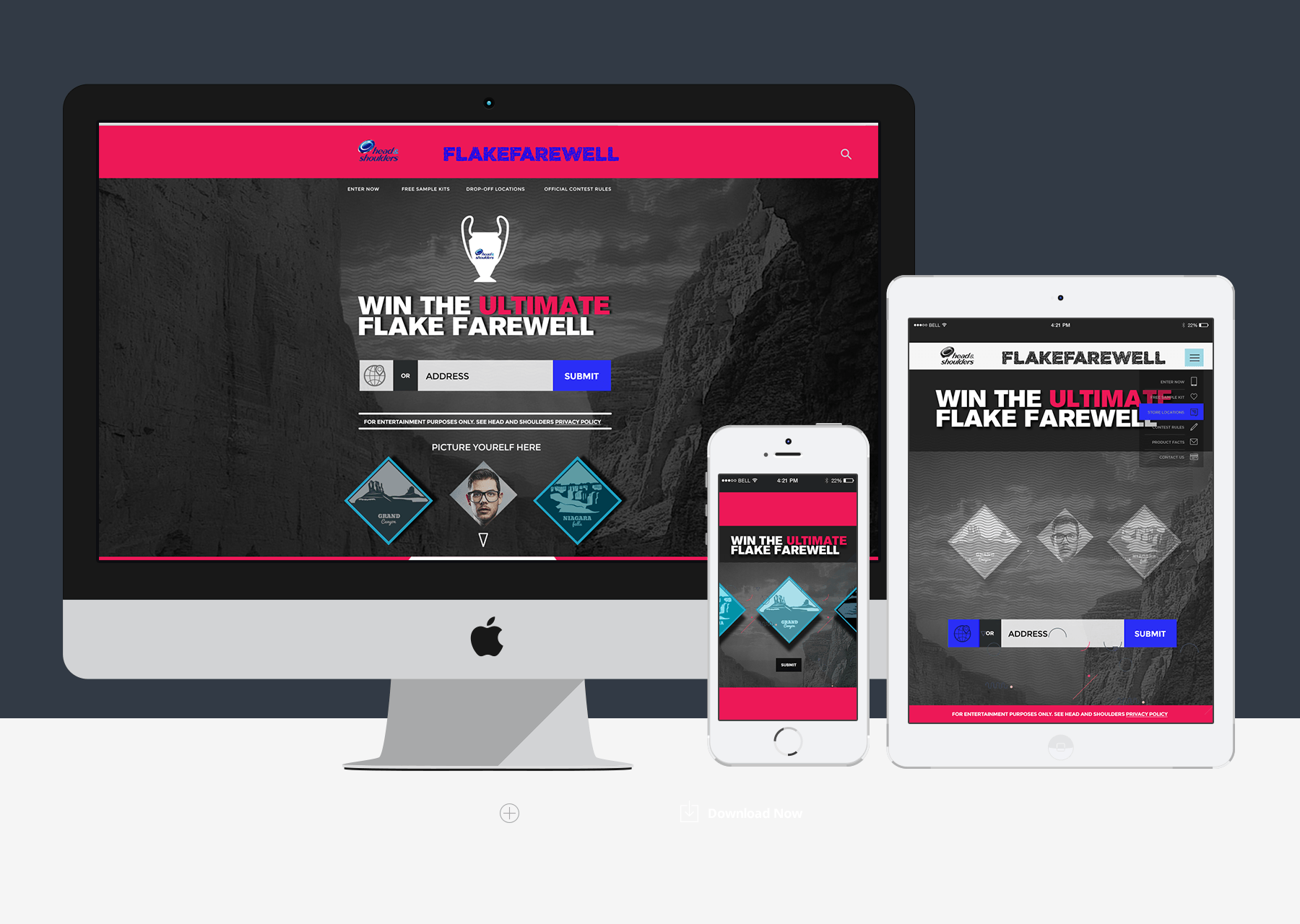 website-showcase